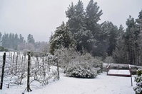 Windrush on Hogsback Tourism Africa