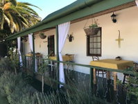 Wolwedans Guest Manor Tourism Africa
