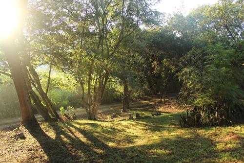 Wood Owl Bush Lodge - thumb 1