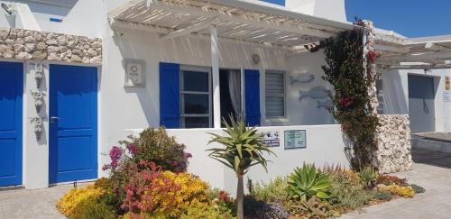 Ai Kalossie - thumb 0