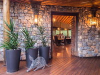 Book Madikwe Hotels, Tourism Africa Tourism Africa