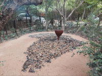 Booking Commondale Accommodation Africa