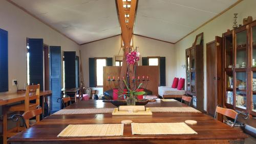 African Rain Forest Experience 3 - thumb 0