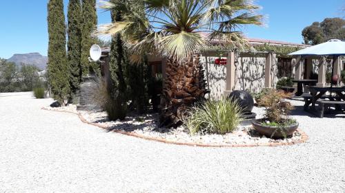 African Dawn B&B - thumb 4