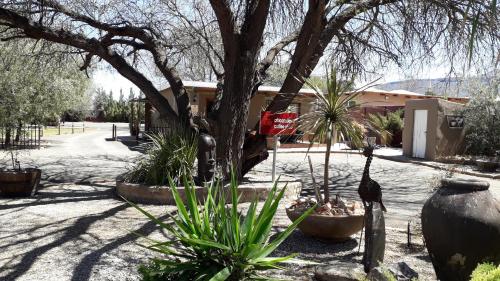 African Dawn B&B - thumb 1