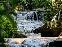Africa's Eden Guesthouse Tourism Africa