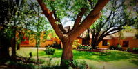 Book Delmas Hotels, Tourism Africa Tourism Africa