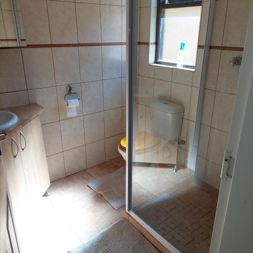 @Wellington Overnight - thumb 2