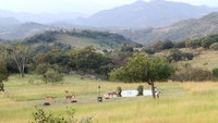 Nature Luxury Cottages Tourism Africa