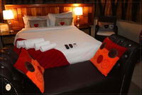 Book Alexandria Hotels, Tourism Africa Tourism Africa