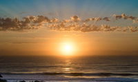 91 SeaLodge Direct Beachfront access to all swimming beaches Tourism Africa