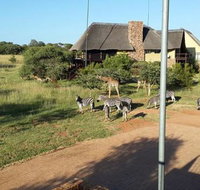 79 Zebula - Tourism Africa