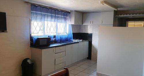 7 Dolphins - thumb 4