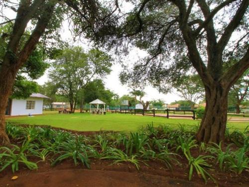 7 At Brainline - thumb 1