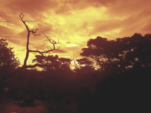 636 Itaga Safari Lodge, Mabalingwe Nature Reserve - thumb 1