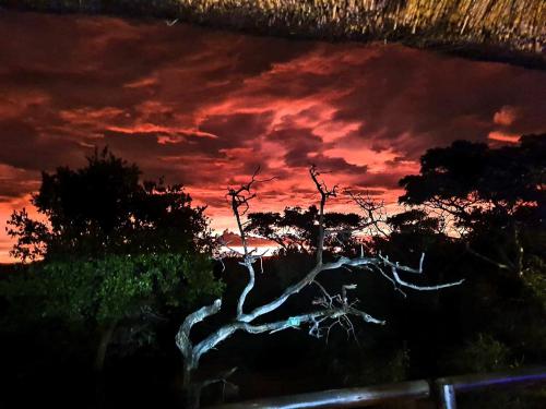 636 Itaga Safari Lodge, Mabalingwe Nature Reserve - thumb 4