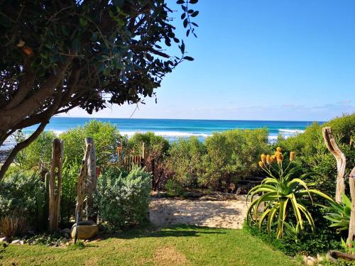 52 Albatros - thumb 1