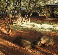 462 Bosbok Chalets - Accommodation Africa