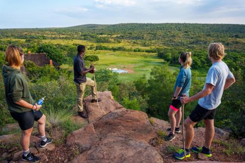 Zebras Crossing - thumb 5