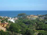 Zuider Zee Guest House Tourism Africa