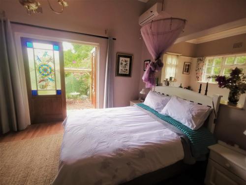 â‚Dragonfly Dreams: Colour, Elegance, Hidden Gem - thumb 1