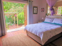 Dragonfly dreams colour elegance hidden gem Tourism Africa