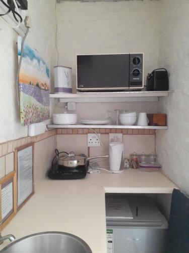 3 Lavenders - thumb 1