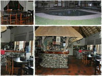 21Drongo Domain Tourism Africa