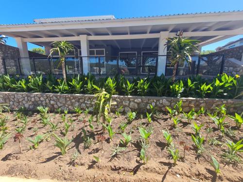 13onOrchid - thumb 1