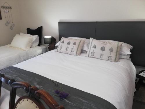 1-On-Scott - thumb 5