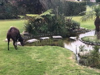 Brenton Lake Holiday Cottages Tourism Africa