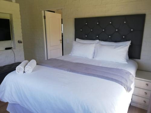 Bruce's Surf Shack - thumb 4