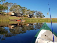 Buff  Fellow Eco Cabins Tourism Africa