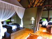 Bush Lodge  Amakhala Game Reserve Tourism Africa