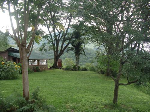 Bushwhacked Barberton - thumb 1