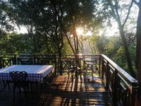 Cabbage Tree Cottage Tourism Africa