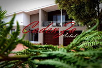 Cadenza Tourism Africa