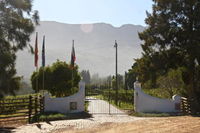 Calais Wine Estate Tourism Africa