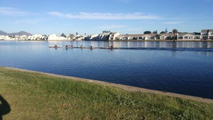 Cape Town Milnerton Lagoon Villa