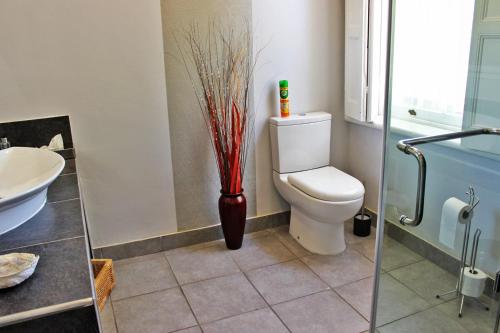 Cape Valley Manor Guesthouse - thumb 1