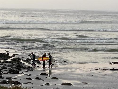 CAROL DE LANGE - thumb 0