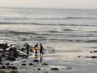 CAROL DE LANGE Tourism Africa