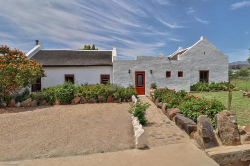 Carpe Diem McGregor - thumb 3