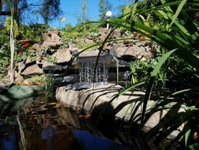 Book Dan Pienaar Hotels, Tourism Africa Tourism Africa