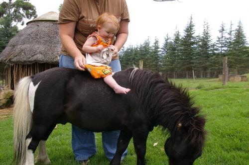 Champagne Castle Hotel - thumb 4