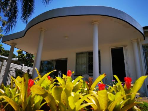 Chez Paddy - thumb 0