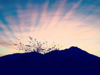 Church Road Self Catering Tourism Africa