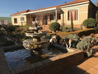 Clarens Butterfly Villa Tourism Africa