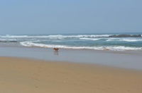 Cosy Cottage Tourism Africa