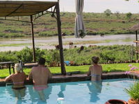 Crocodile Bridge Safari Lodge Tourism Africa